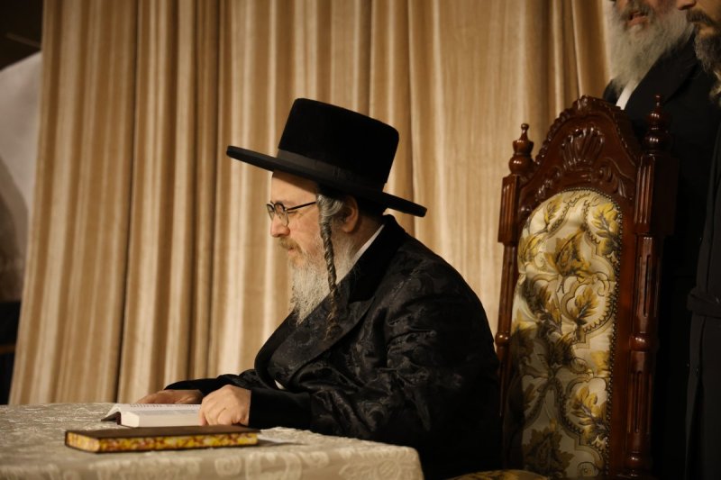 נתי אמרגי