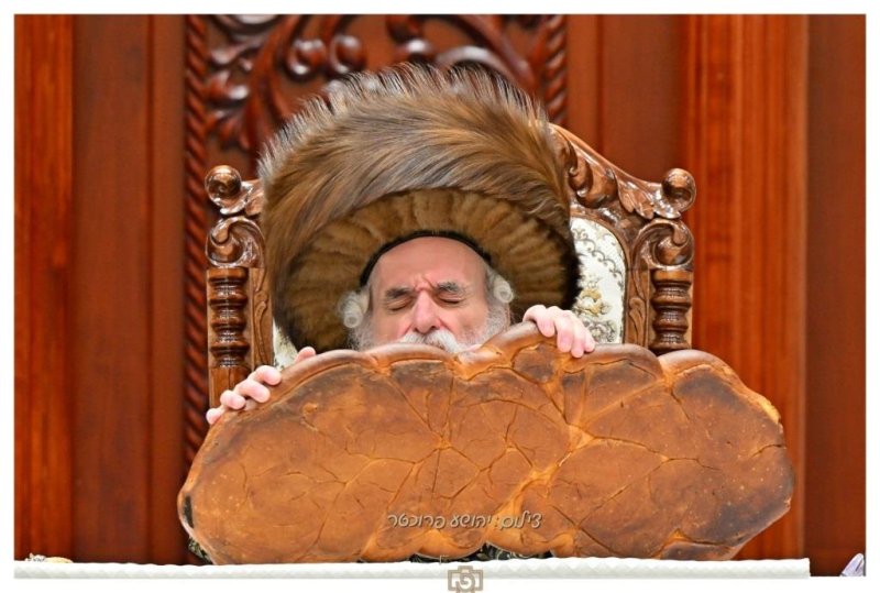 יהושע פרוכטר
