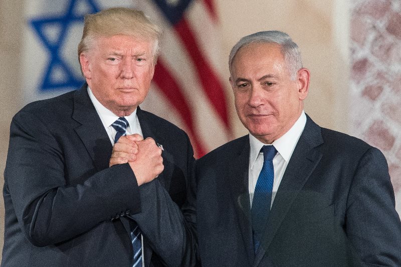 יונתן זינדל, פלאש 90