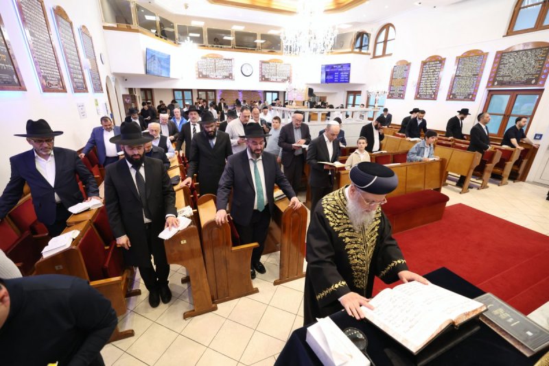 יעקב כהן