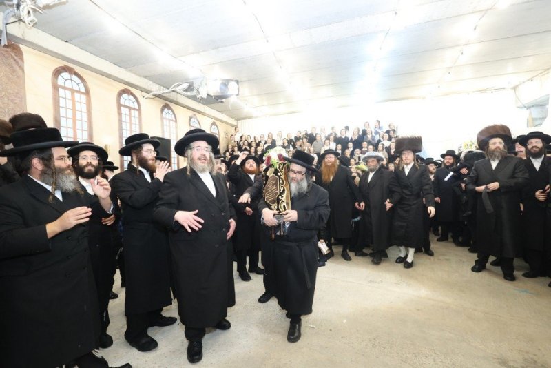 שלומי טריכטר