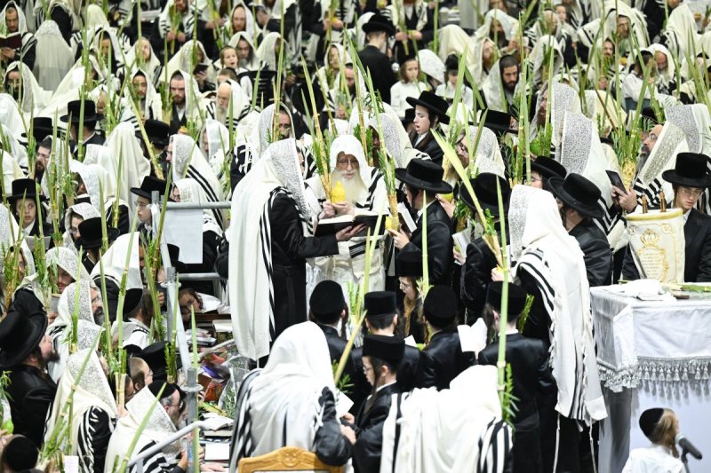 משה גולדשטיין