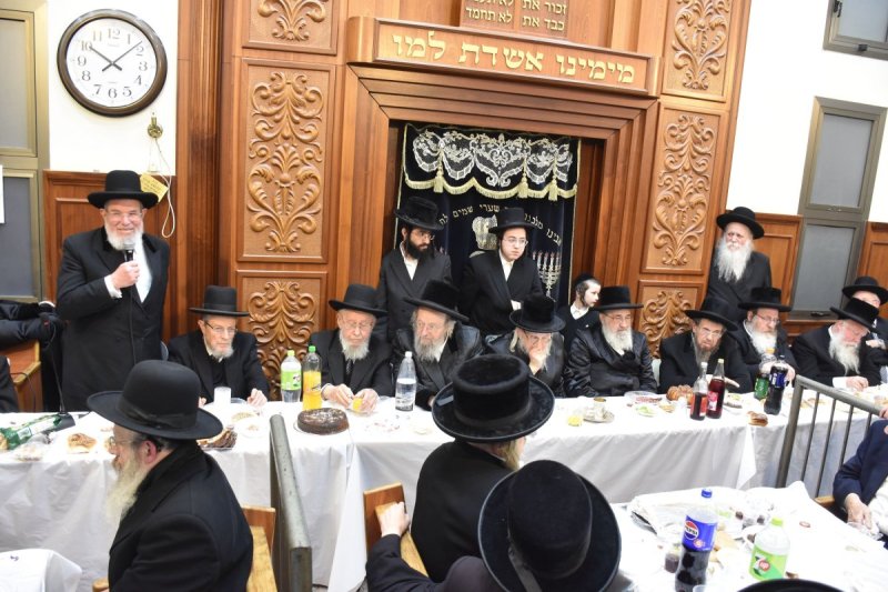 יהודה פרקוביץ