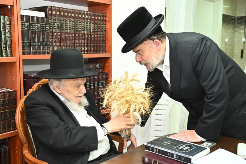 שוקי לרר
