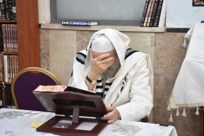 יהודה פרקוביץ