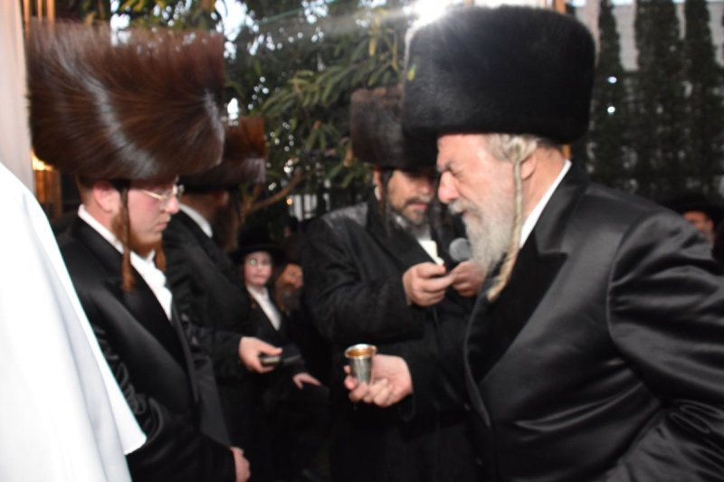 יהודה פרקוביץ