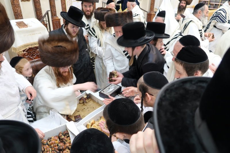 באדיבות המצלם