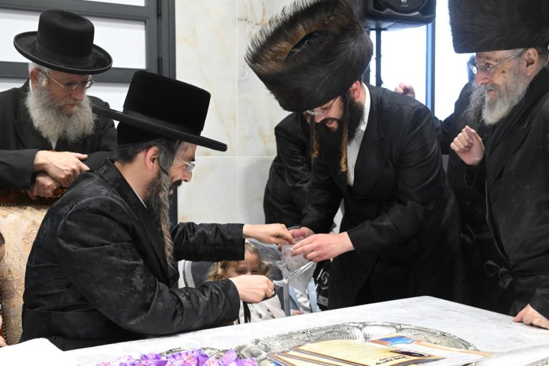 שימי פ.