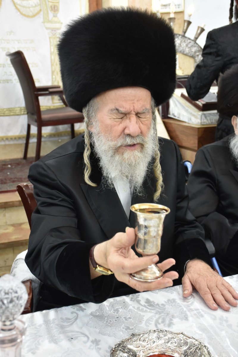 יהודה פרקוביץ