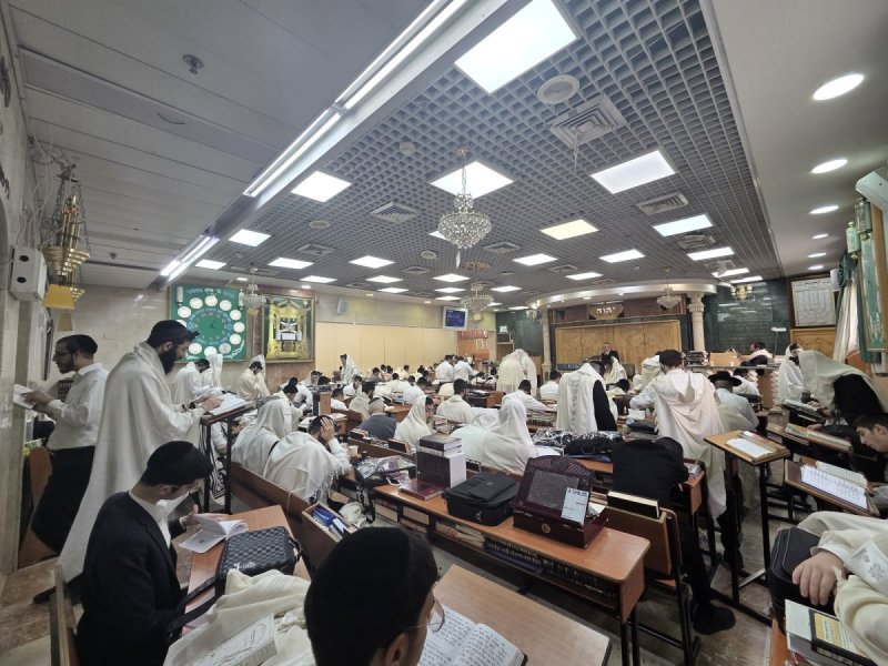 באדיבות המצלם