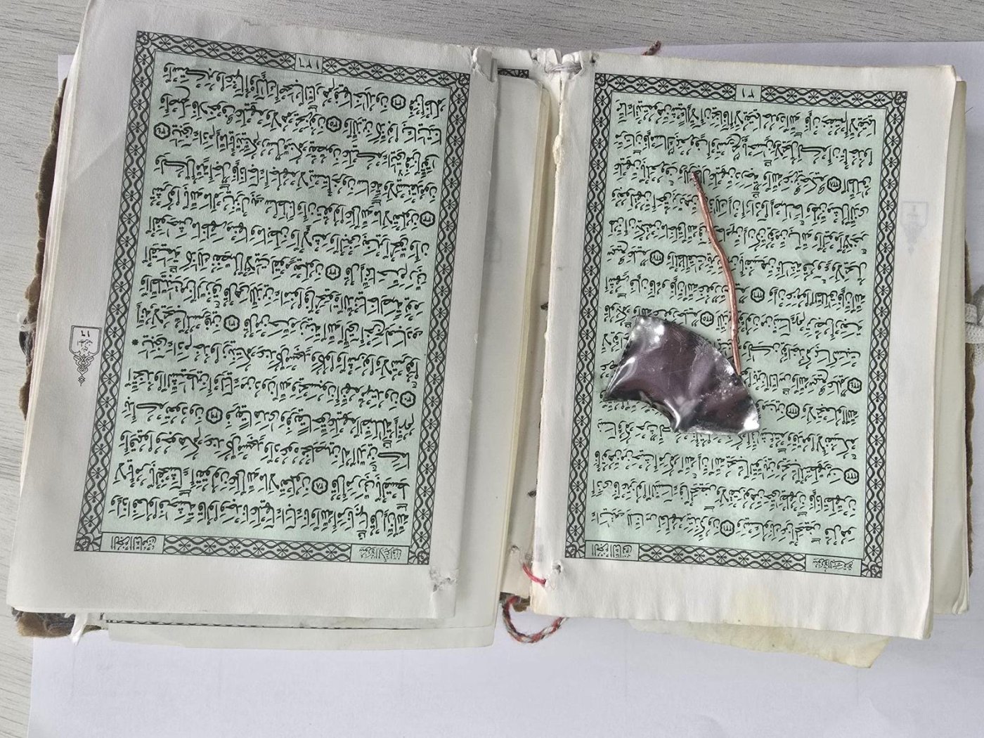 שירות בתי הסוהר 