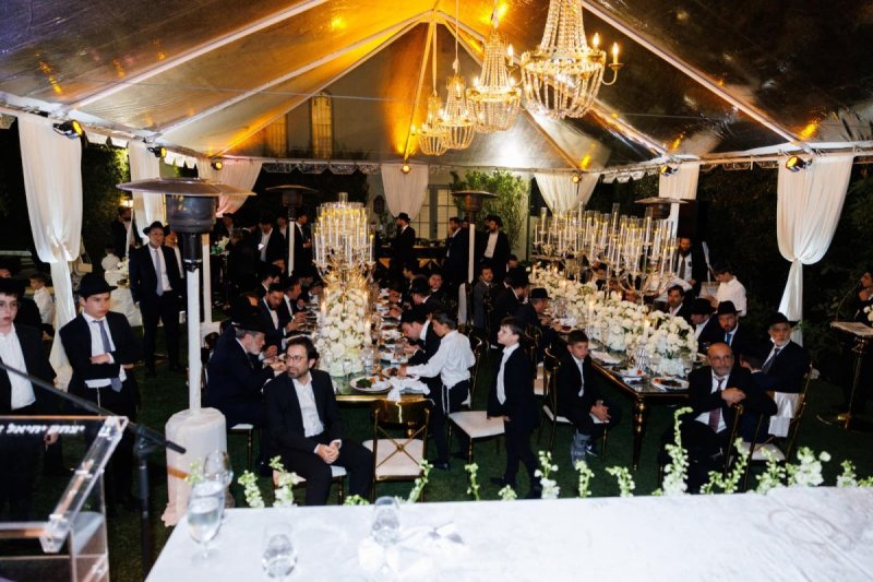 דניאל נפוסי ומאיר זלזניק