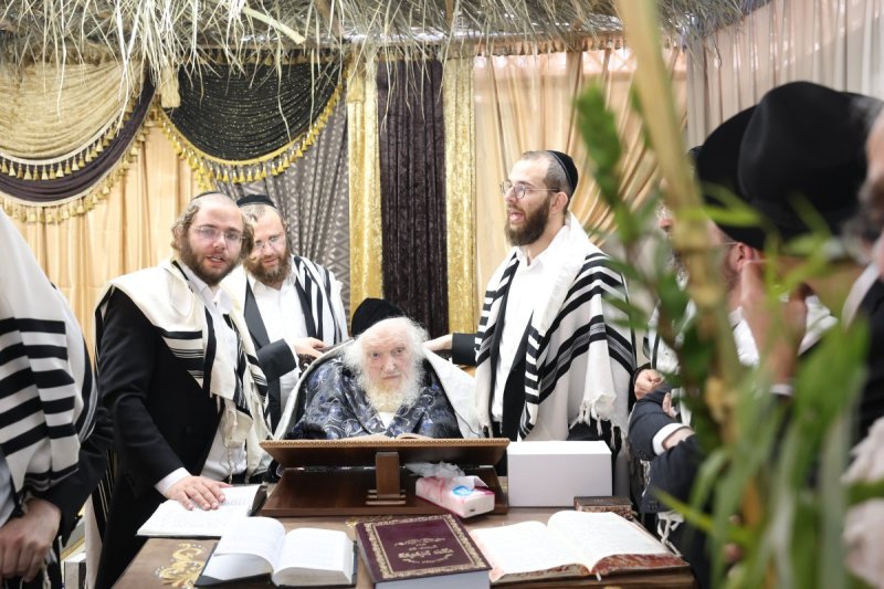 דוד ארזני