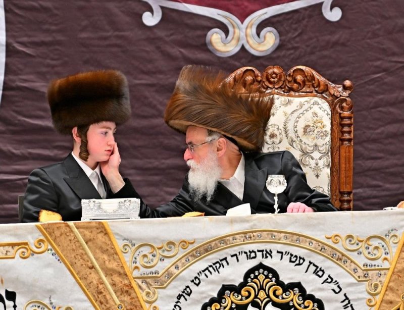 יהושע פרוכטר