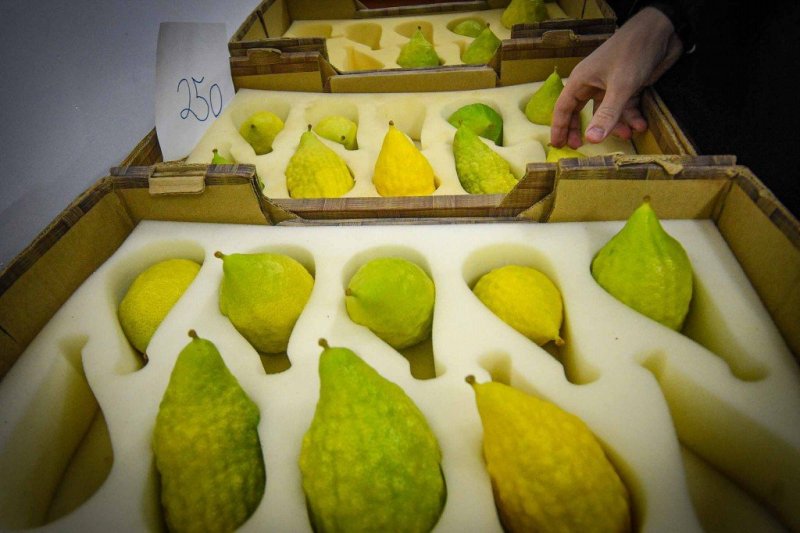 ארי קופרשטוק