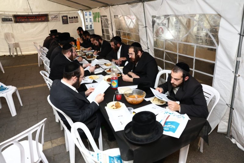 אלחנן קוטלר