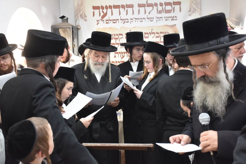 יהודה פרקוביץ