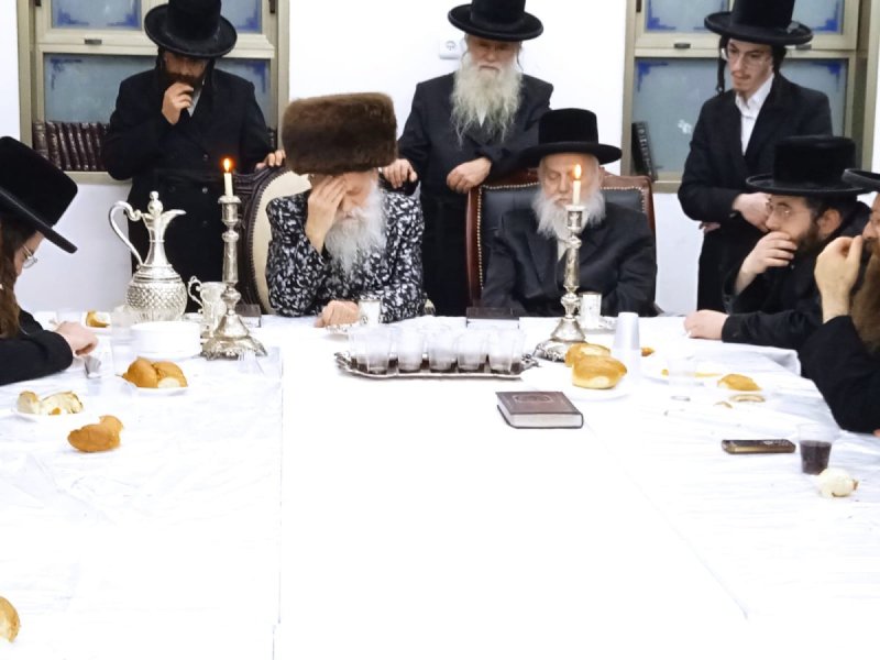 מאיר פרידמן