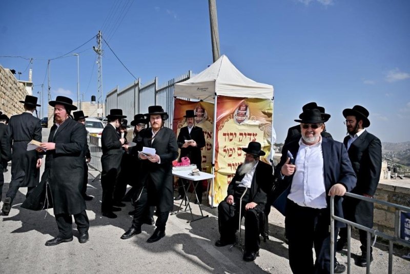 יהושע פרוכטר