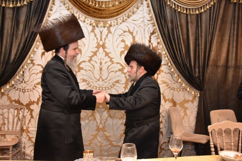 יהודה פרקוביץ