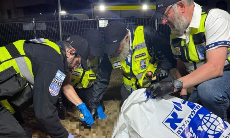 "משפחה לא עוזבים": מאות פגועי נפש בקהילה היהודית בסידני לאחר הטבח