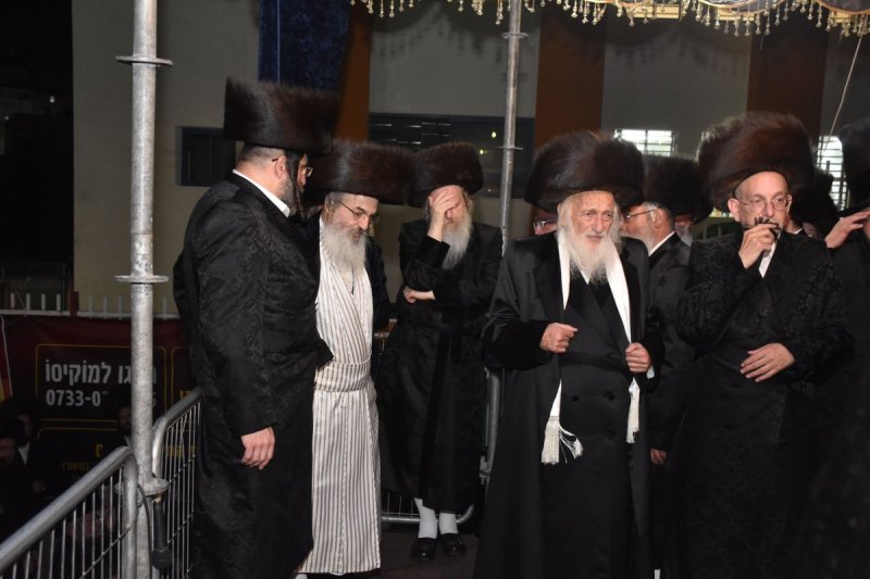 יהודה פרקוביץ