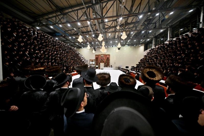 יהושע פרוכטר