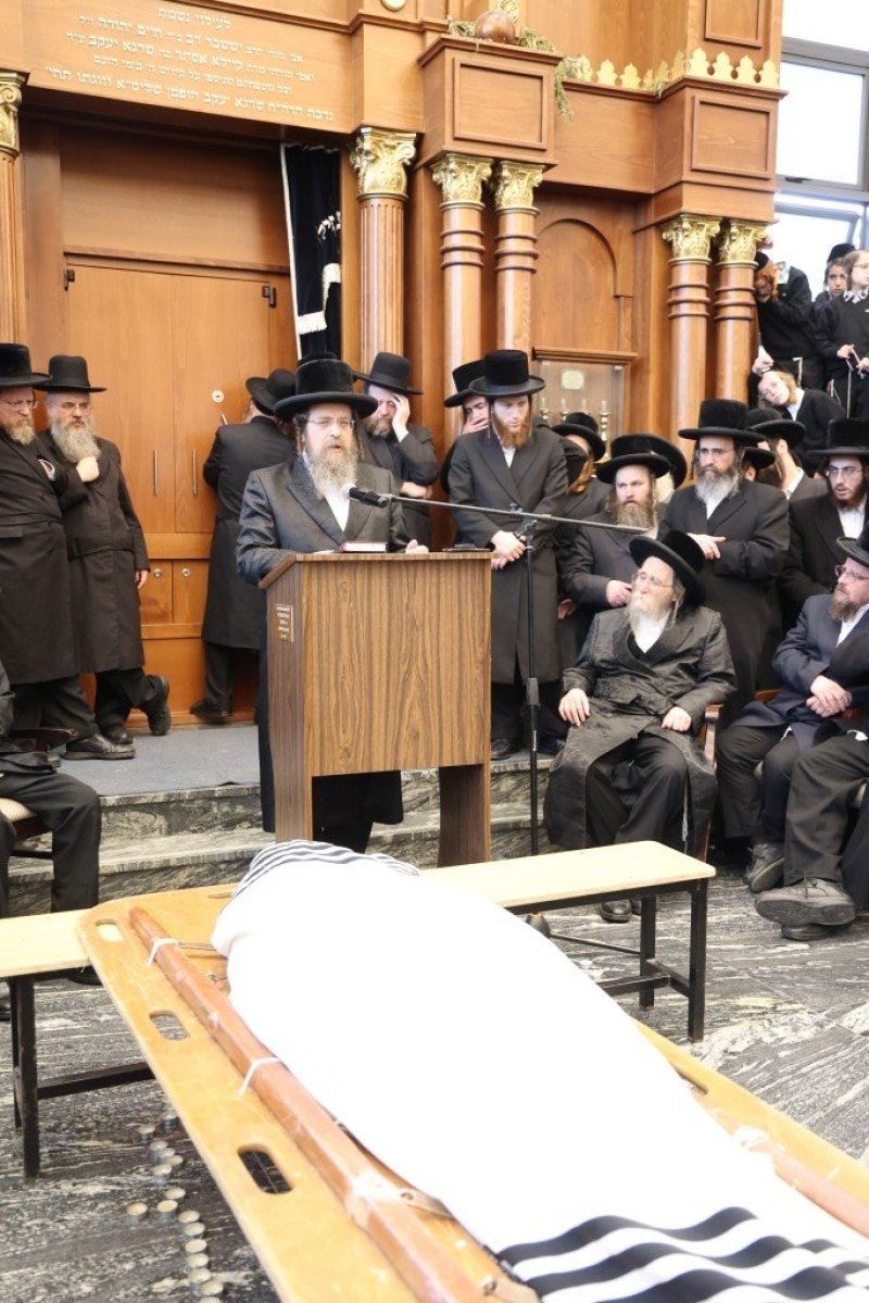 שלומי טריכטר