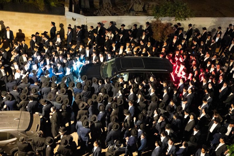 מאיר זלזניק