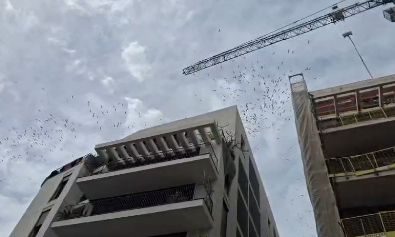 לא רק יירוטים: אלפי חסידות הופיעו בשמי המרכז | תיעודים 