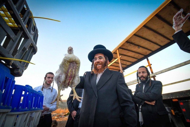 ארי קופרשטוק