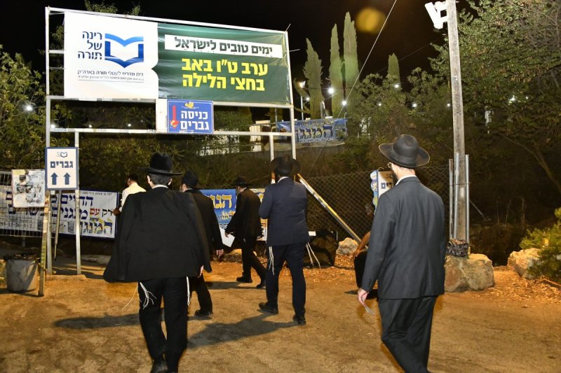 רינה של תורה