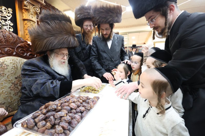 שלומי טריכטר