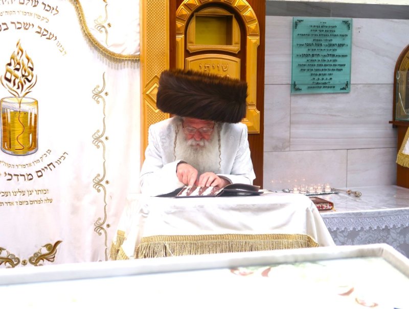 דוד ארזני וארי קופרשטוק