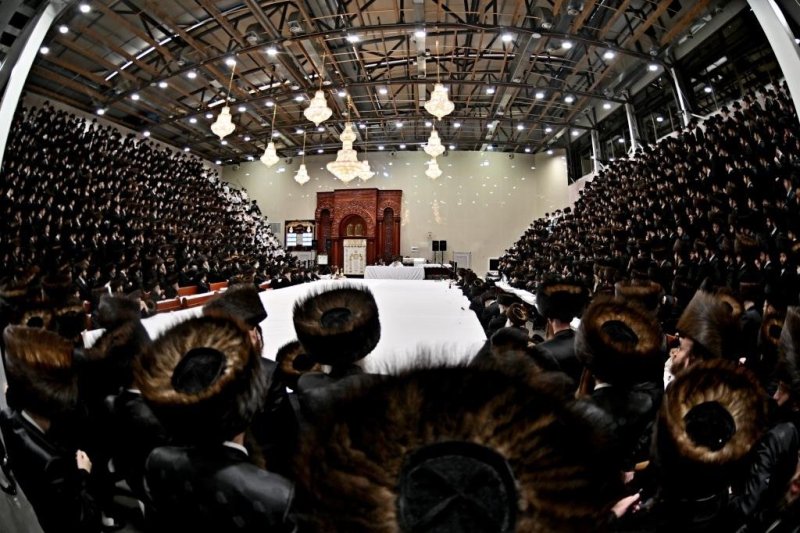 יהושע פרוכטר