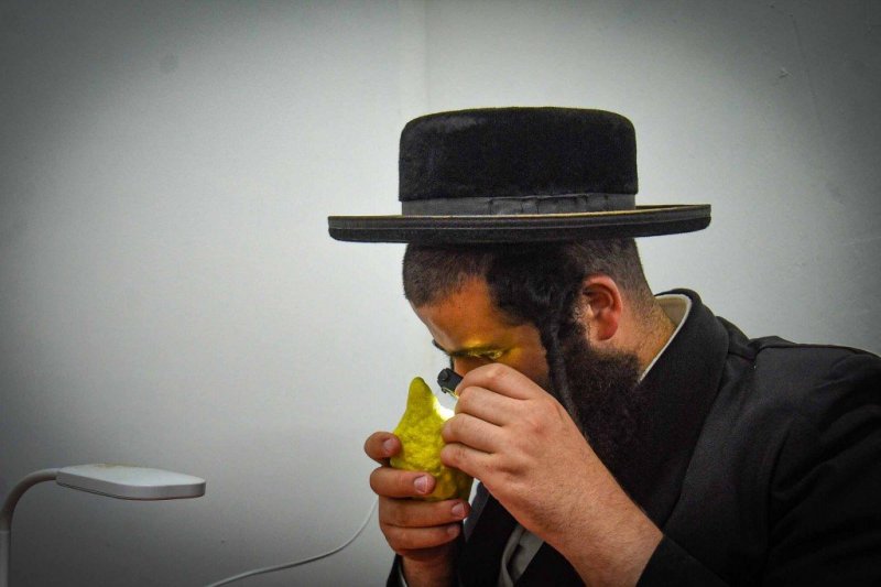 ארי קופרשטוק