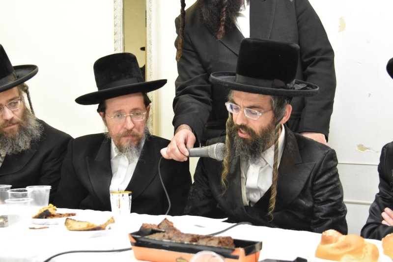 יהודה פרקוביץ