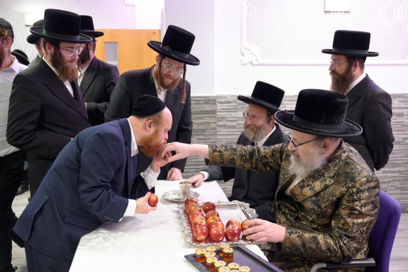 דודי בראון
