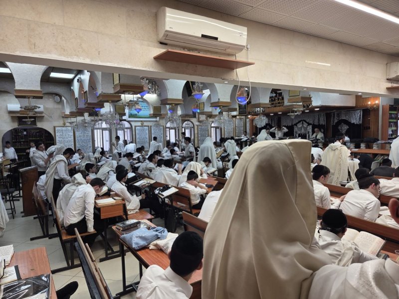 באדיבות המצלם