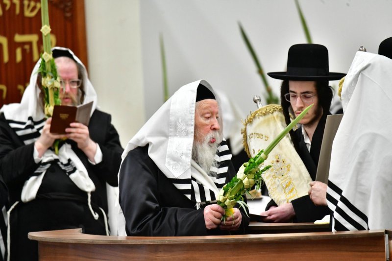 שוקי לרר