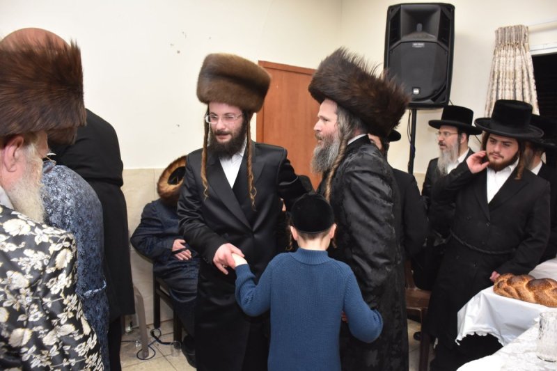 יהודה פרקוביץ