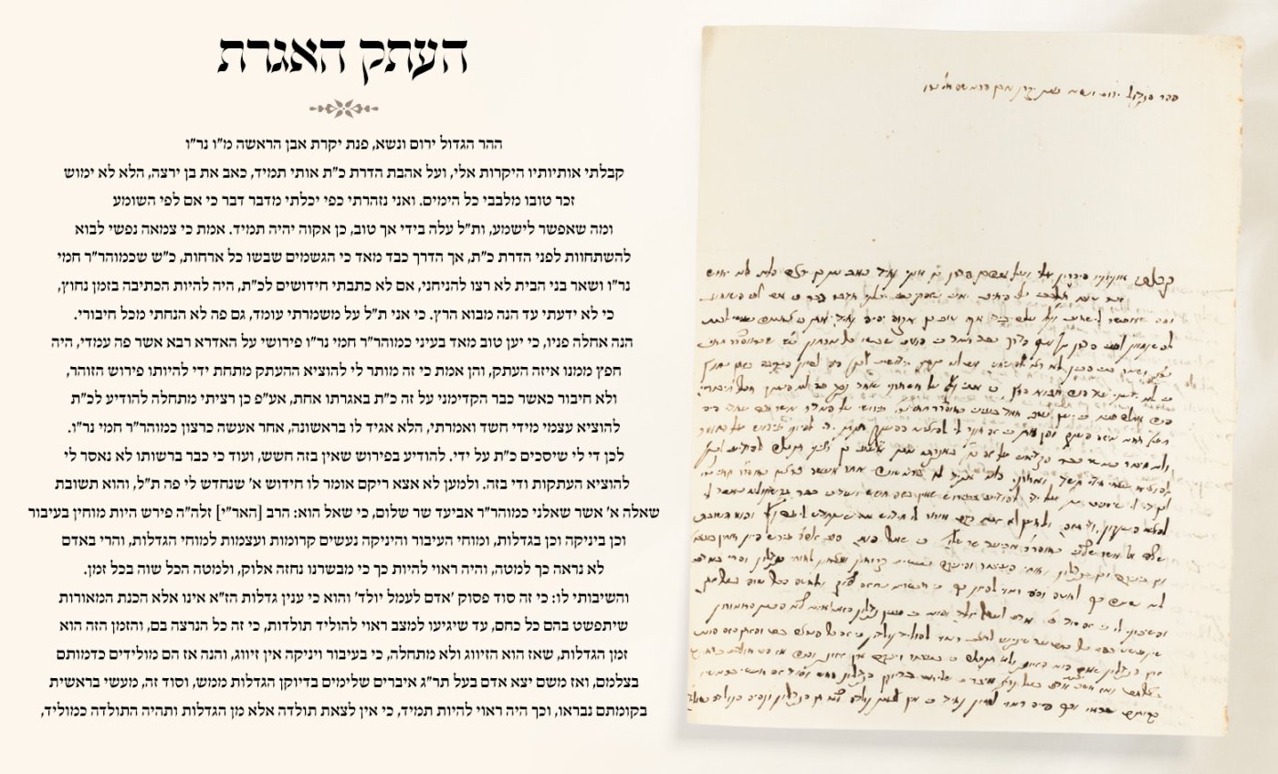 צילום מסך מבית המכירות גנזים