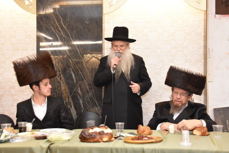 יהודה פרקוביץ