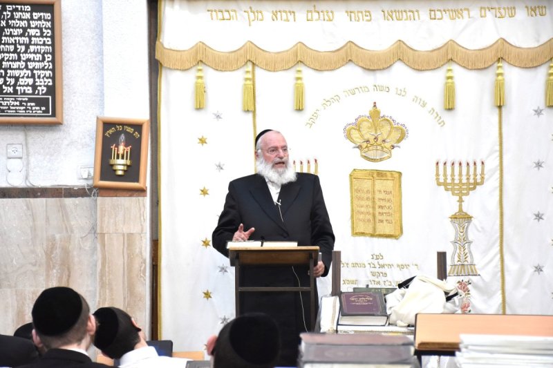 יהודה פרקוביץ