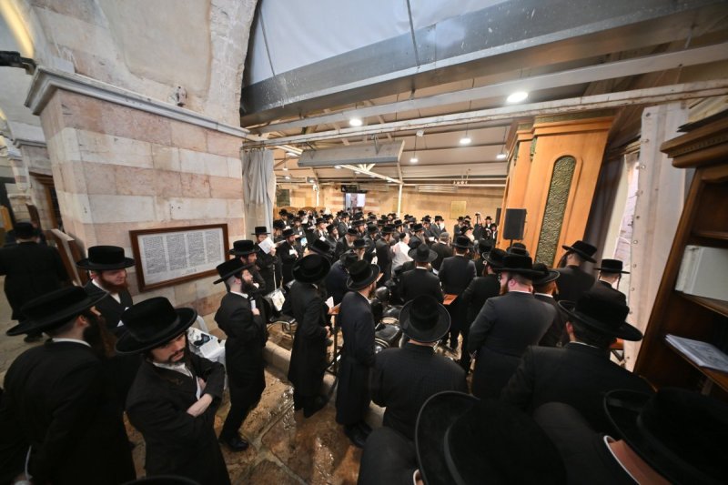 יהושע פרוכטר