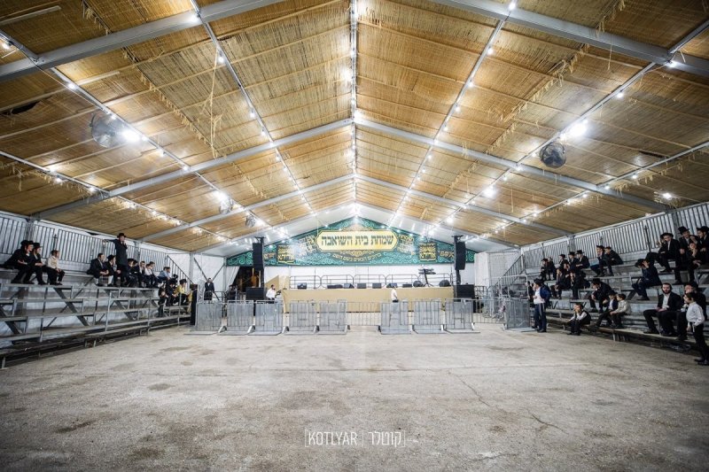 מענדי קוטלר