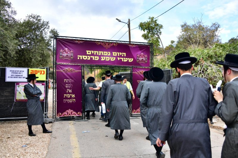 שוקי לרר