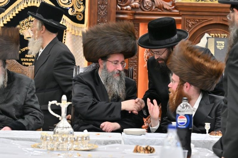 יהושע פרוכטר