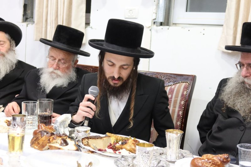 א. שטול