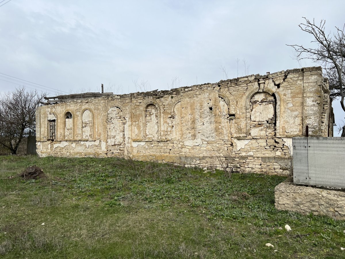 ויטלי קמוזין